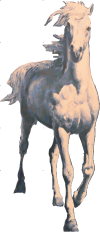 cheval