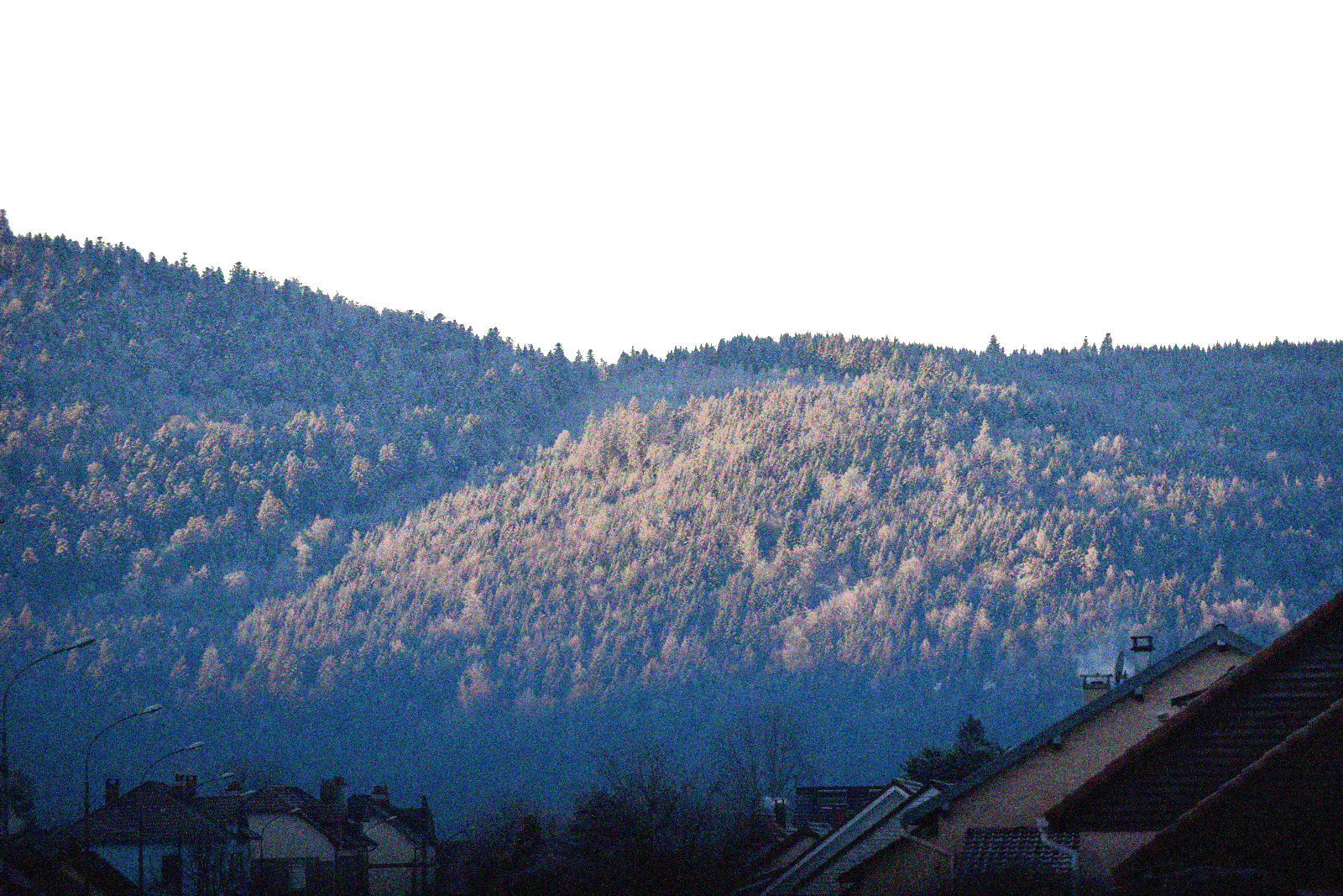 paysage